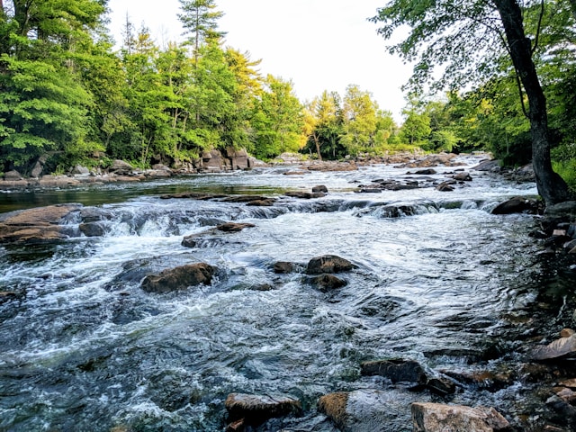 Flowing river